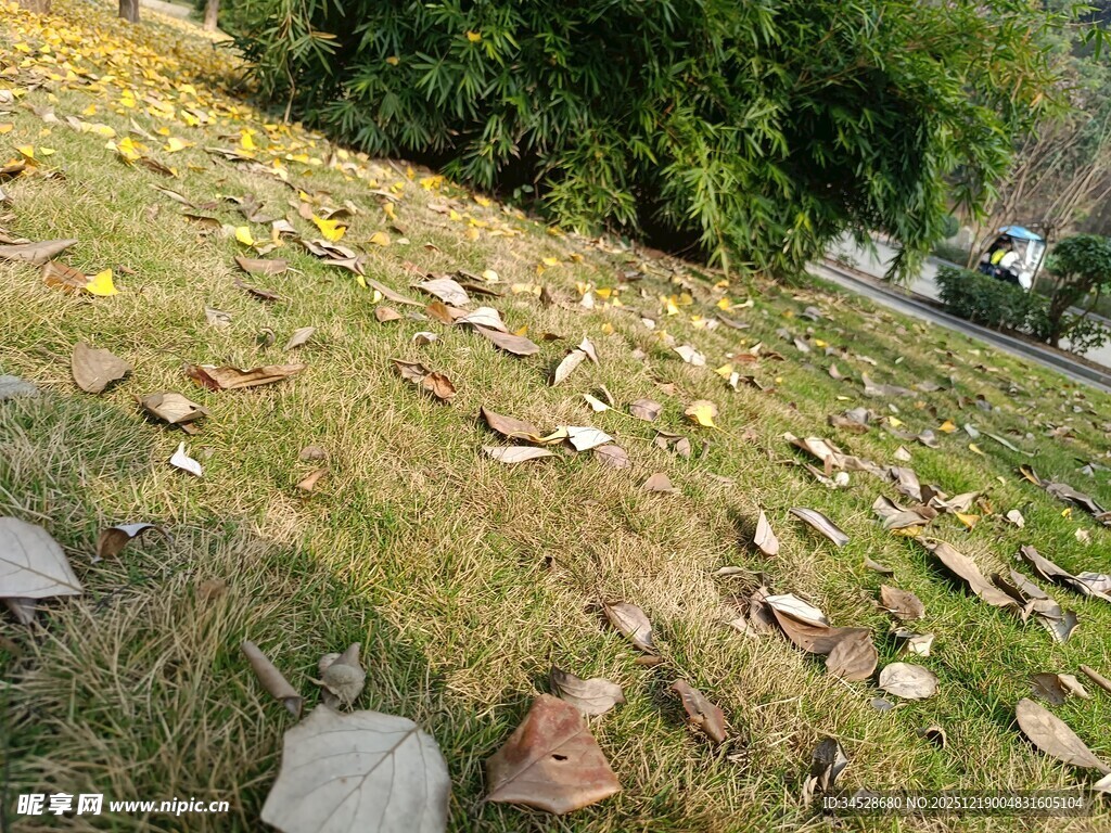 草地散落的破碎物品