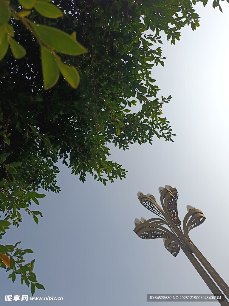 仰视绿树间的别致路灯