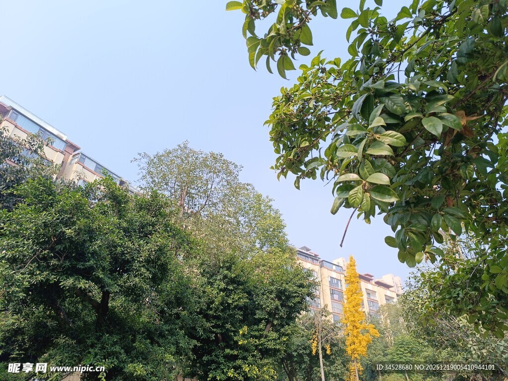 绿树掩映中的建筑一角