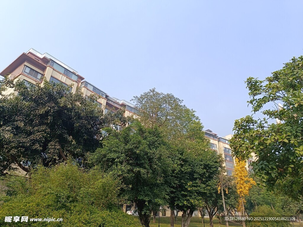 绿树环绕的多层建筑