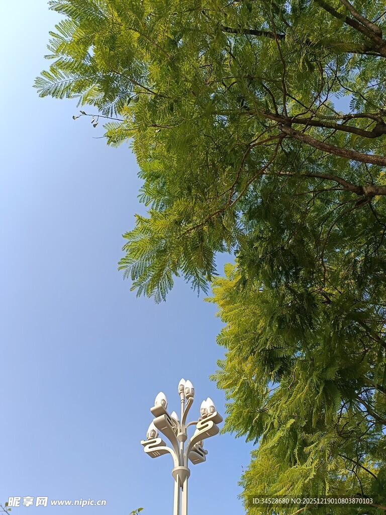 绿树间的精致路灯