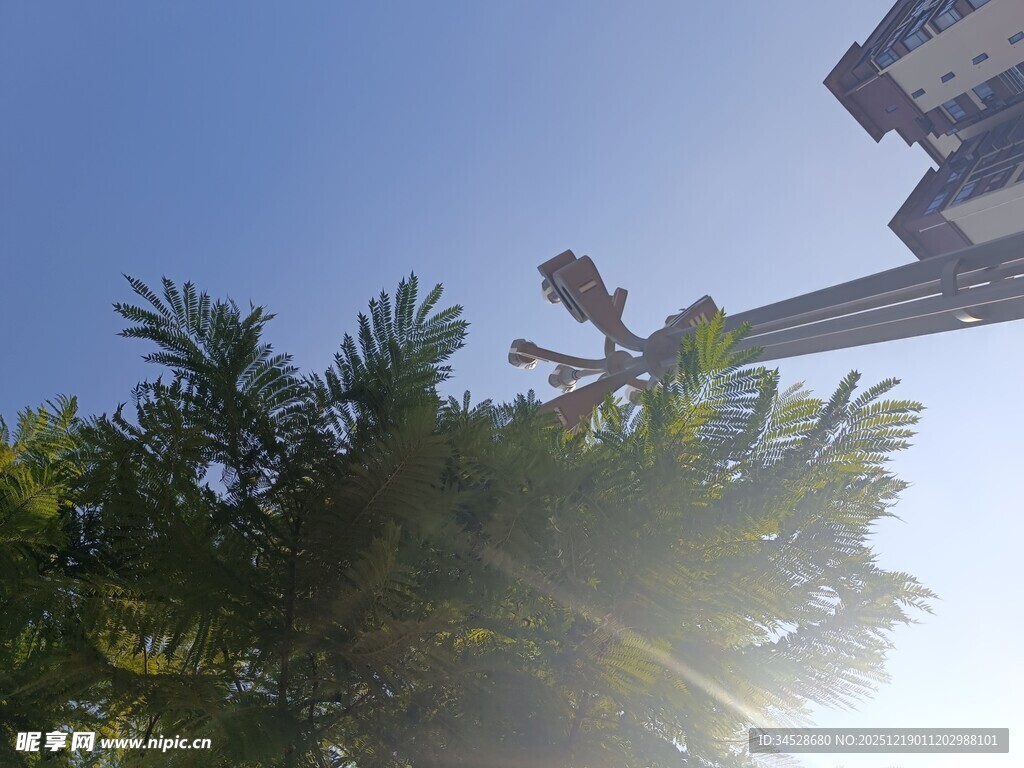 工人高空修剪树上枝叶