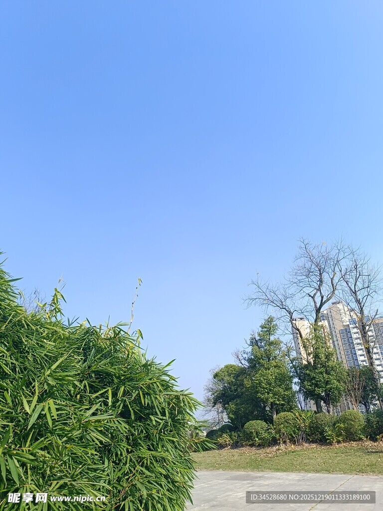 蓝天绿树旁的开阔景致