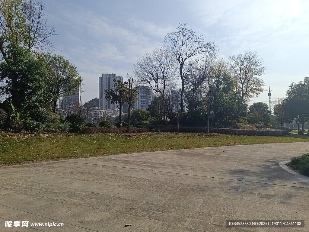 户外空旷场地与树木景观