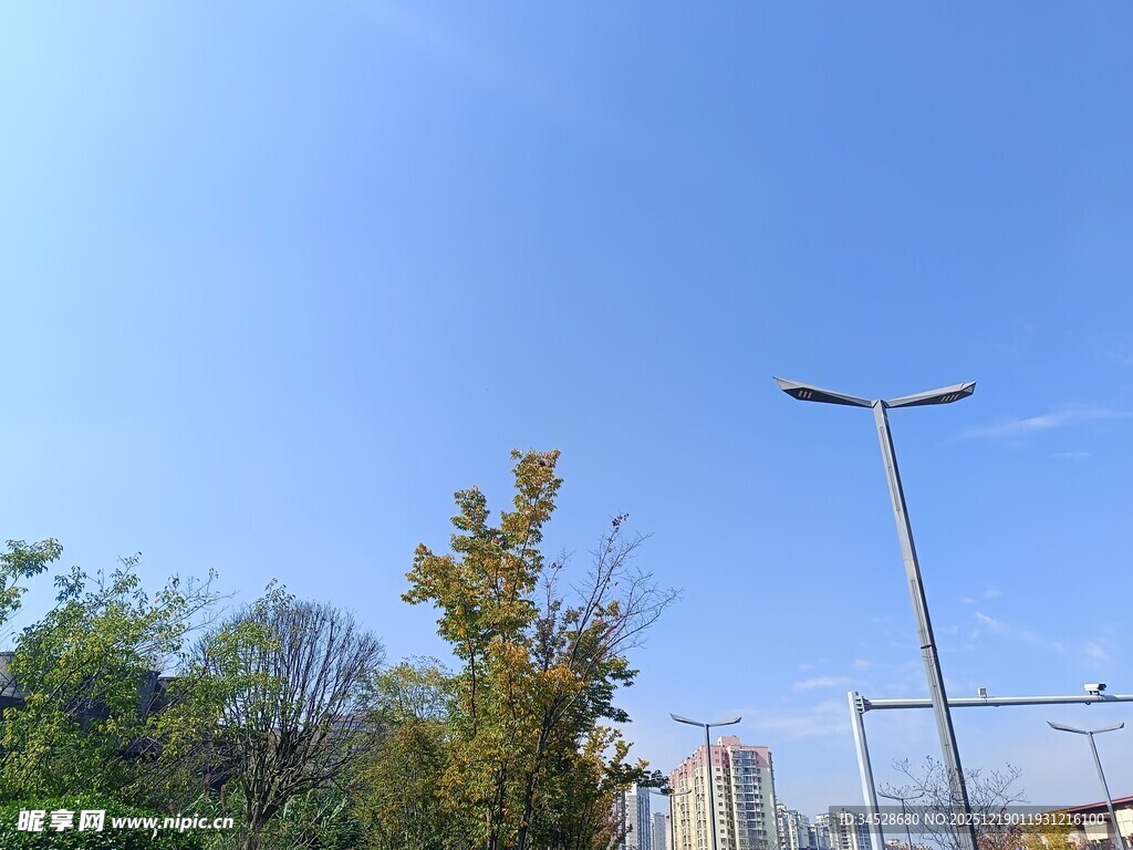 蓝天绿树旁的路灯