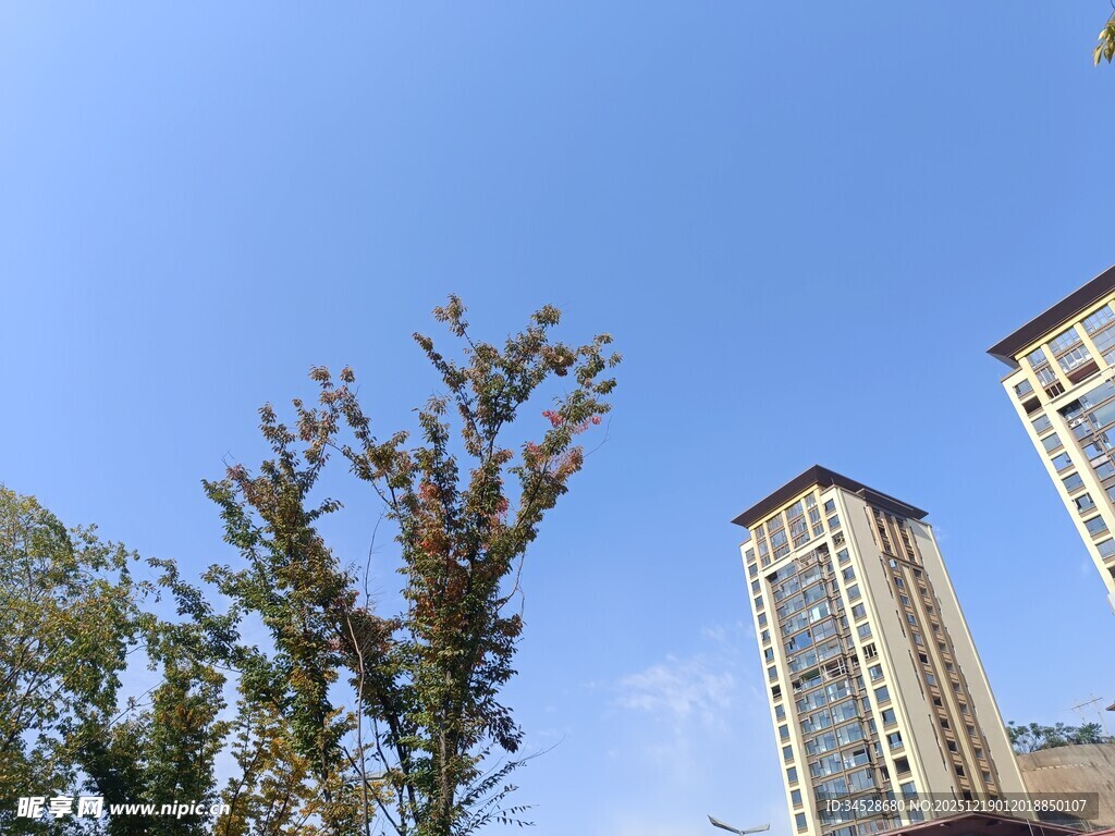 蓝天绿树旁的高楼