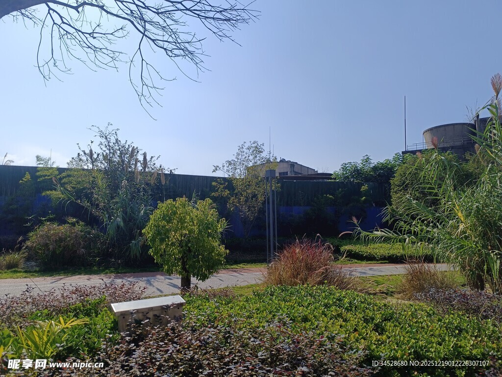 宁静美丽的户外花园景观