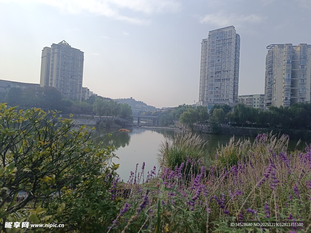 河畔繁花与高楼景致