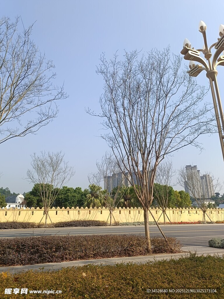 冬日公园空旷景致