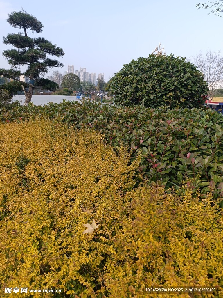 秋日园林绿植景观