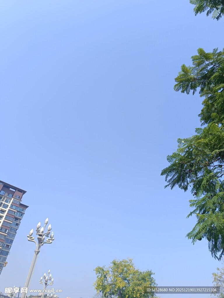 蓝天绿树旁的高楼景象