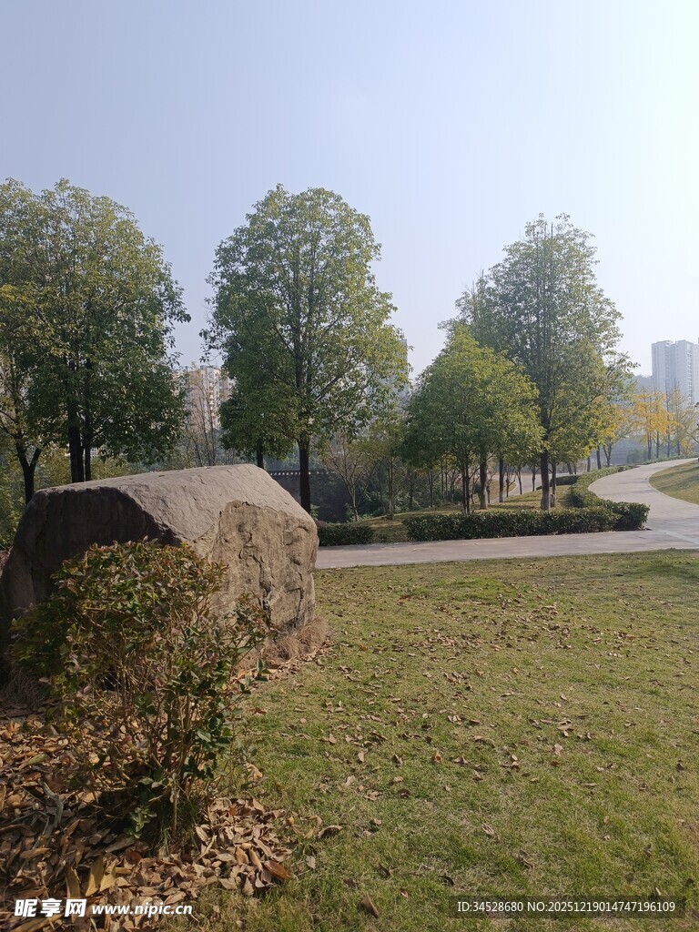 户外草坪旁的巨石与树木