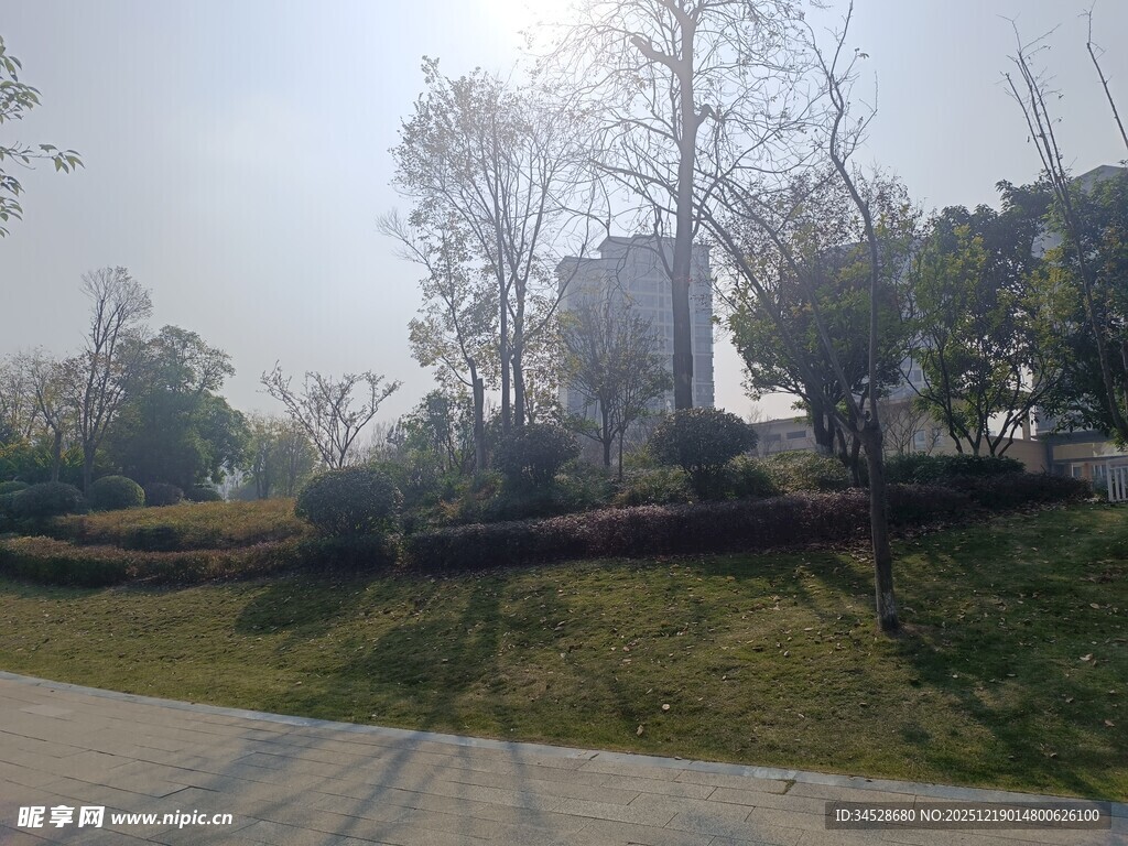 城市公园的静谧景致