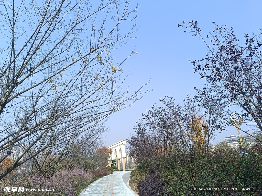 冬日郊野小径景色