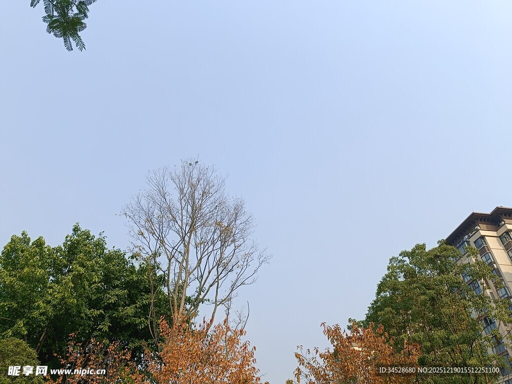 户外树木与建筑景观