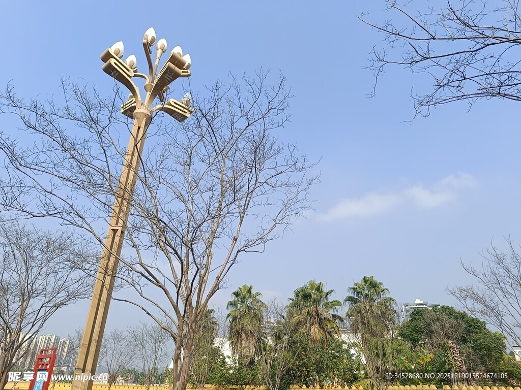独特造型路灯立于开阔场地