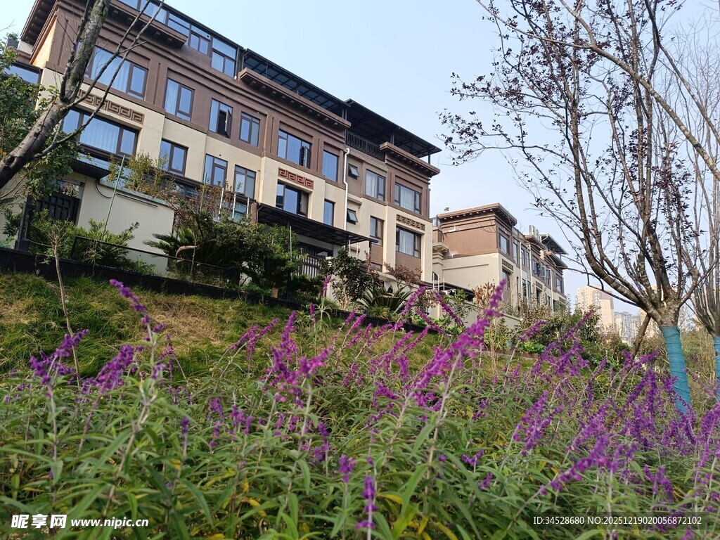 山坡繁花旁的多层建筑