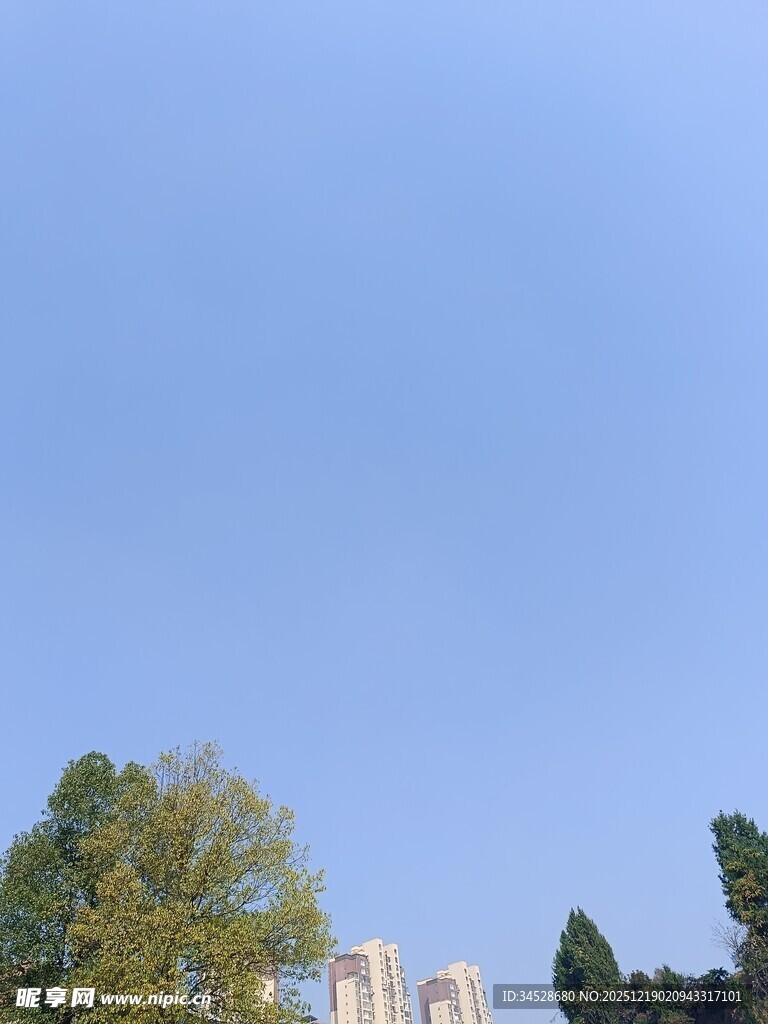 蓝天绿树间的建筑轮廓