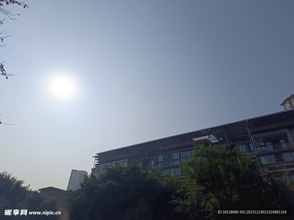 阳光下的建筑与绿植