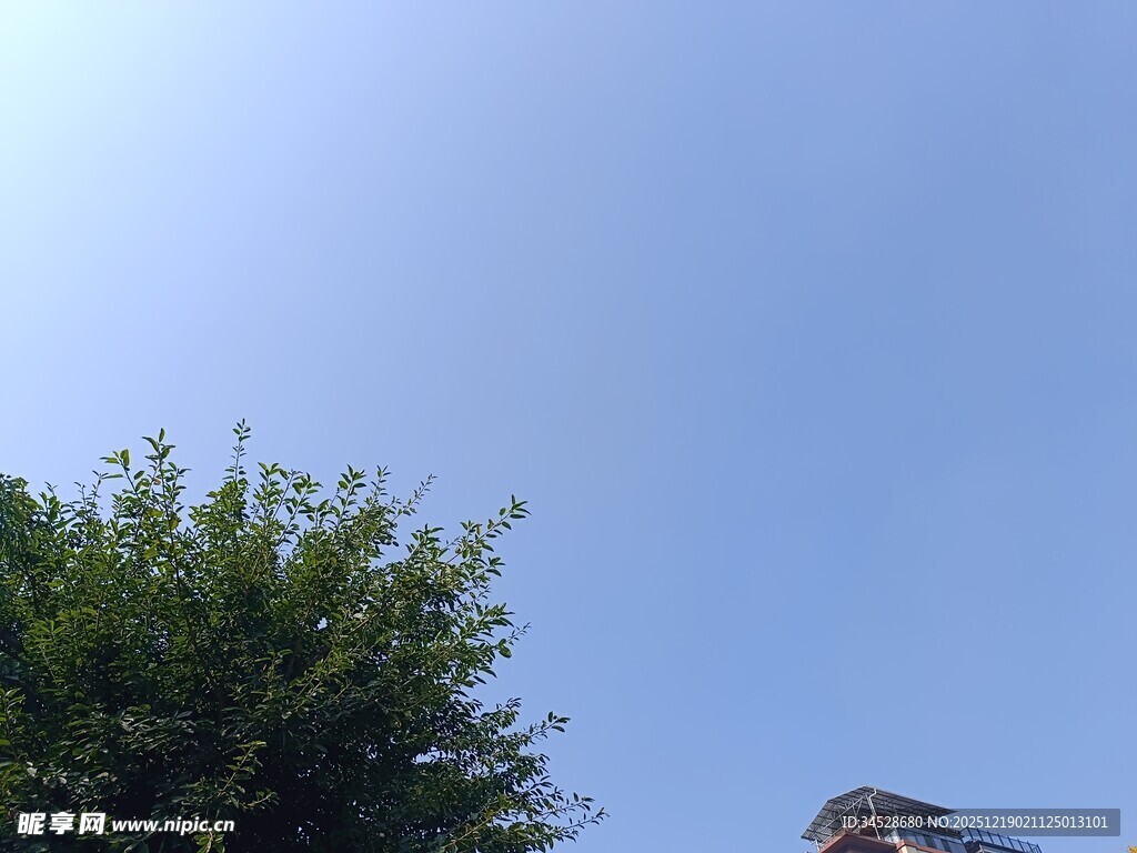 蓝天绿树旁的建筑一角