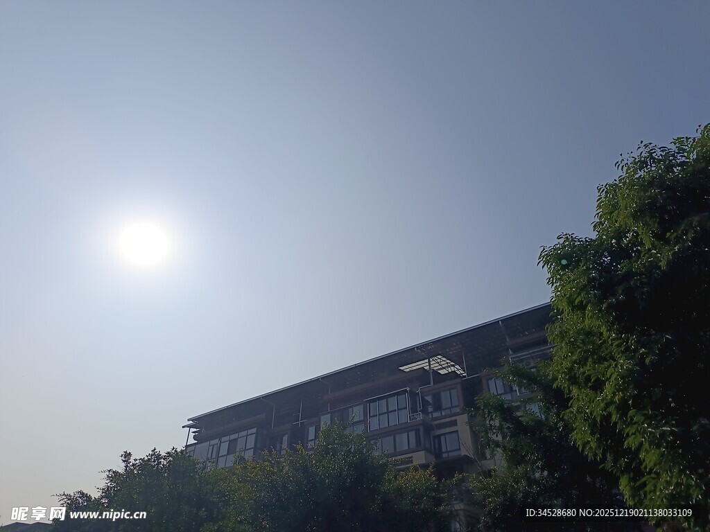 阳光下的建筑与绿树