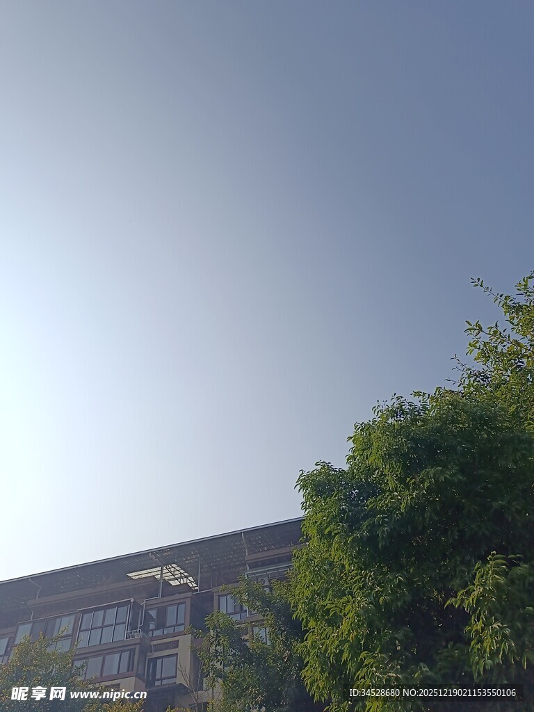 蓝天绿树旁的建筑物