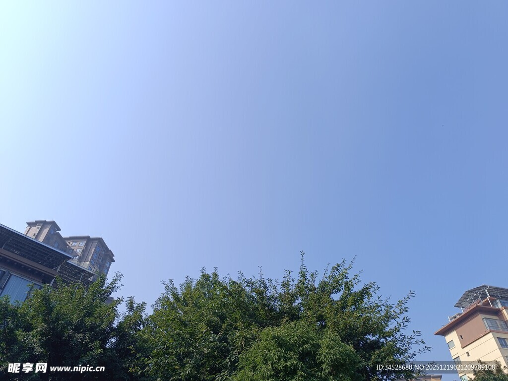 蓝天绿树间的建筑一角