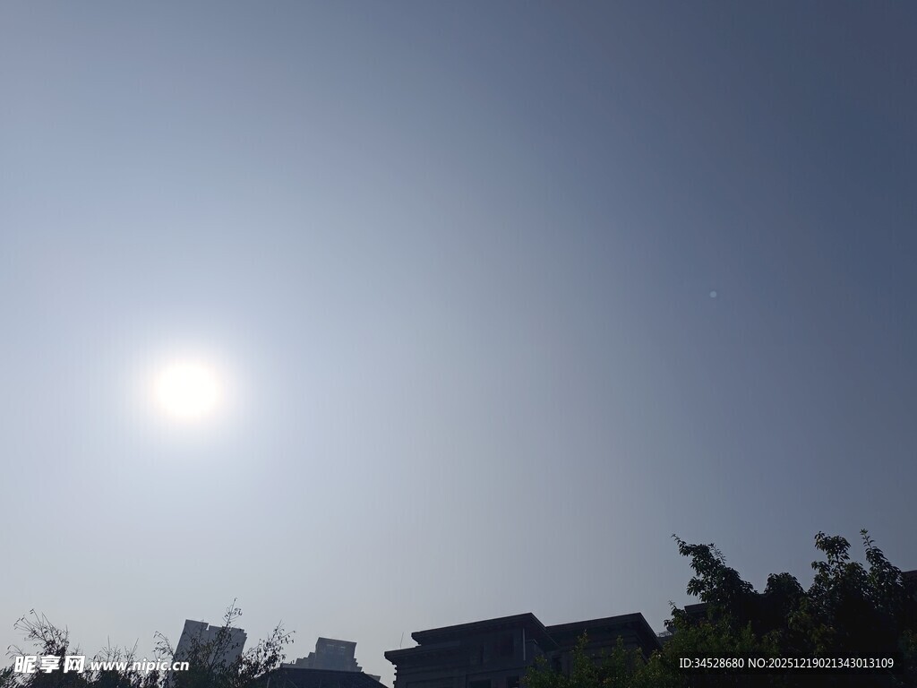 晴朗天空下的阳光与树影