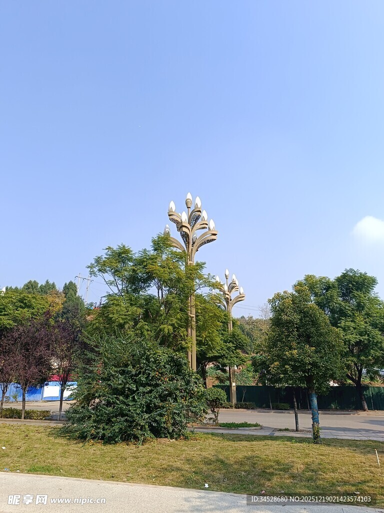 户外绿树旁的路灯景观