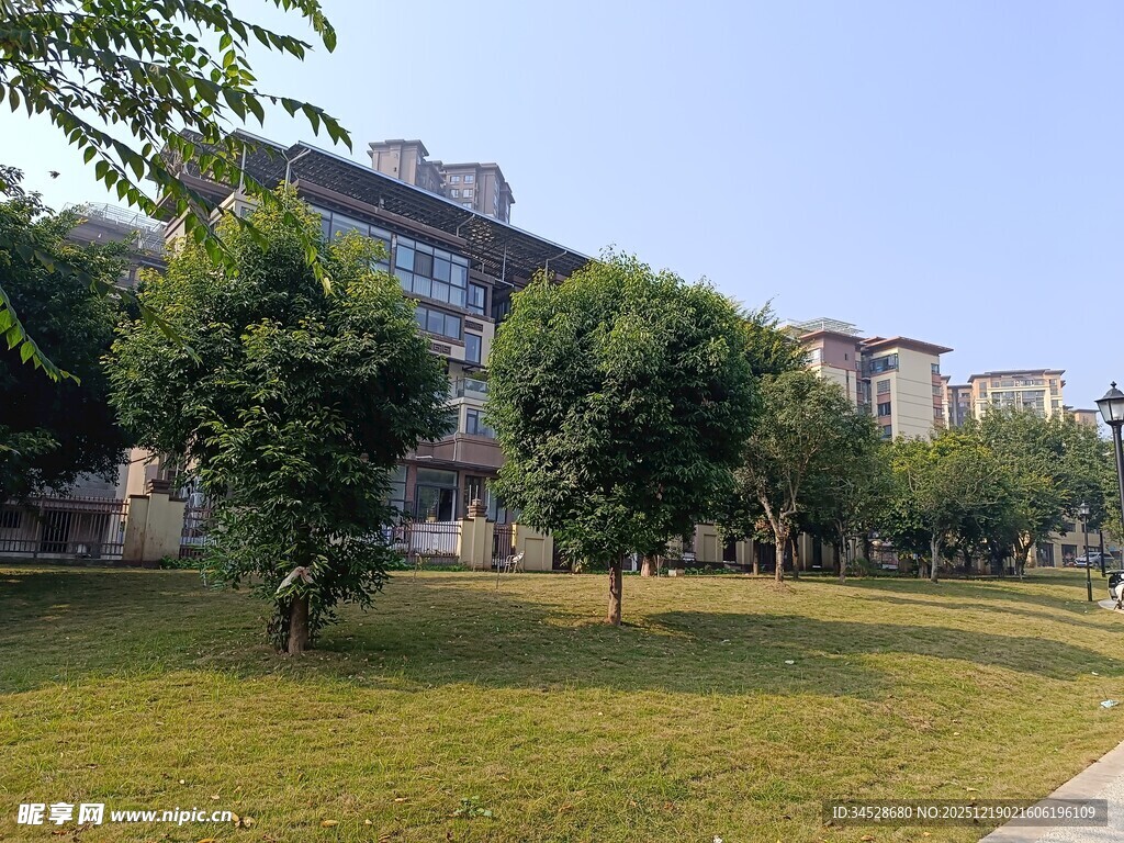 小区内的绿化景观