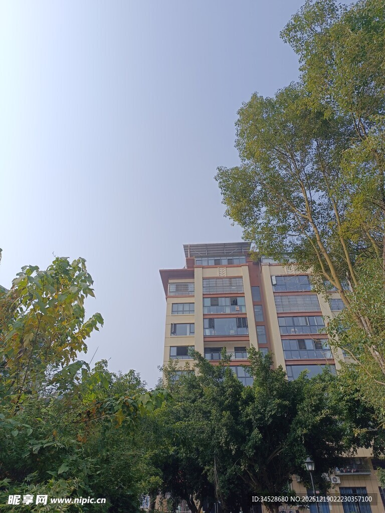 绿树环绕中的多层建筑