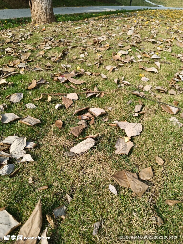 草地上散落的破碎瓷片