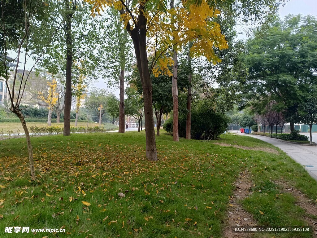 秋日公园小径风景