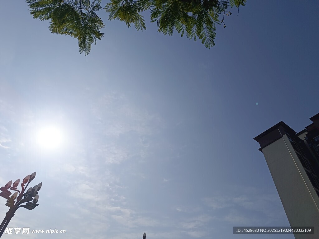 阳光下的建筑与绿植