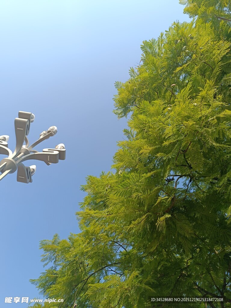 空中无人机与绿树蓝天