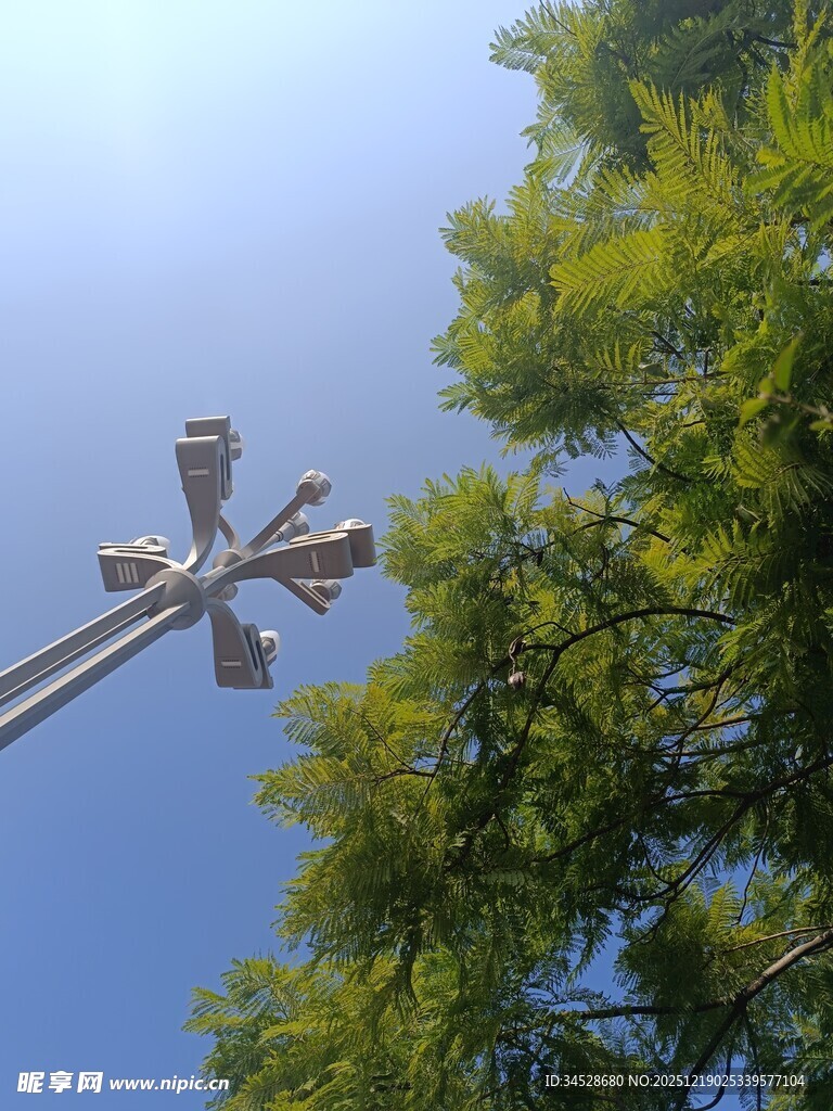 户外路灯与葱郁绿树