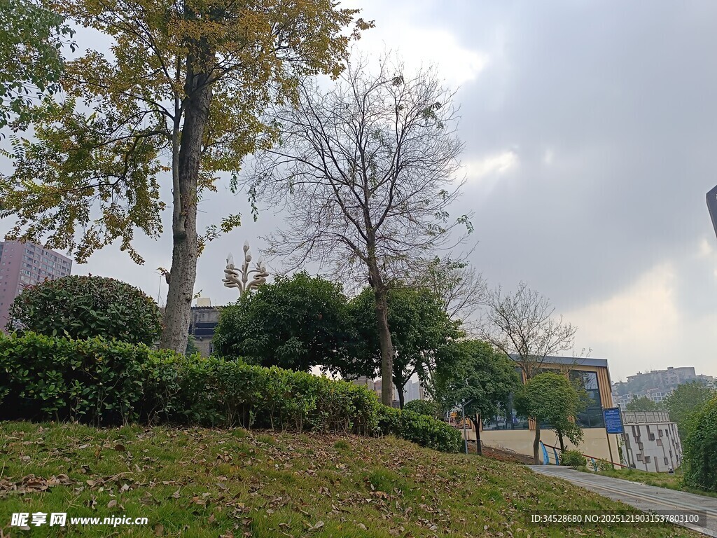 秋日公园小路风景