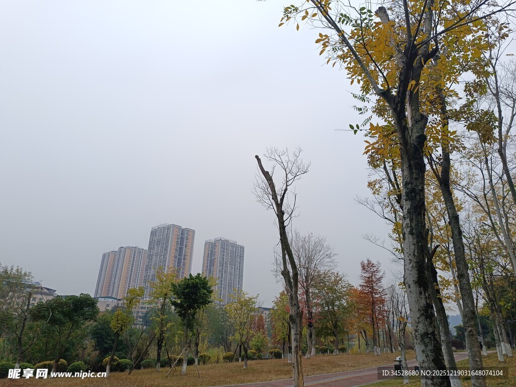 秋日城市公园景致