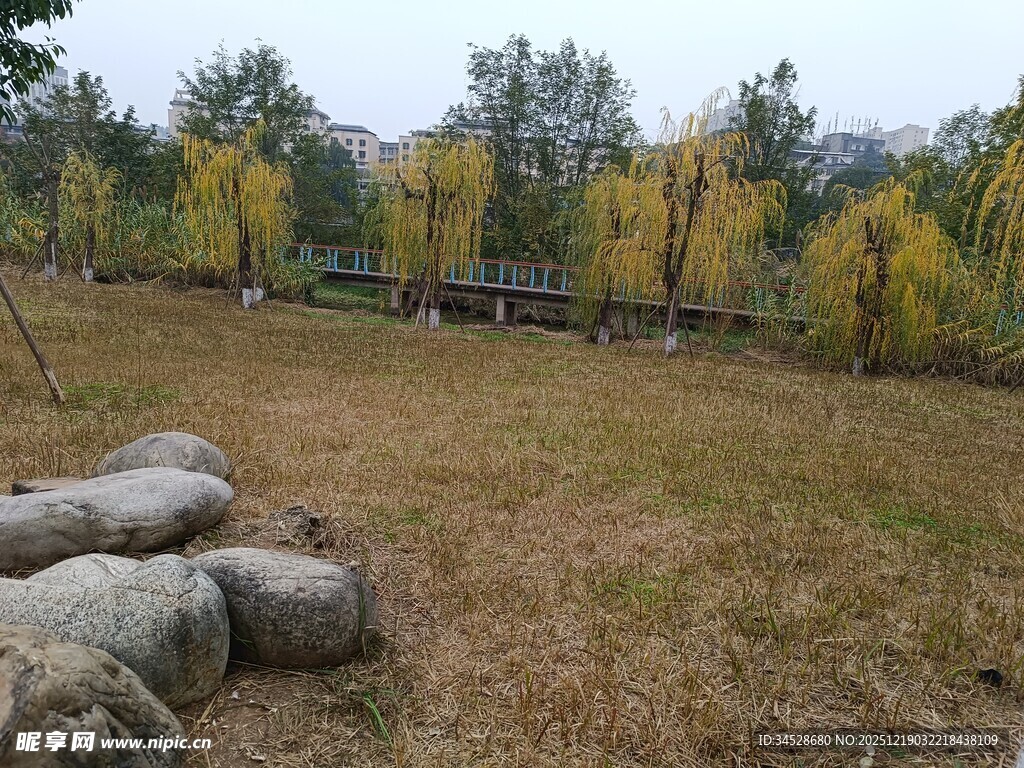 秋日草地与林间景致