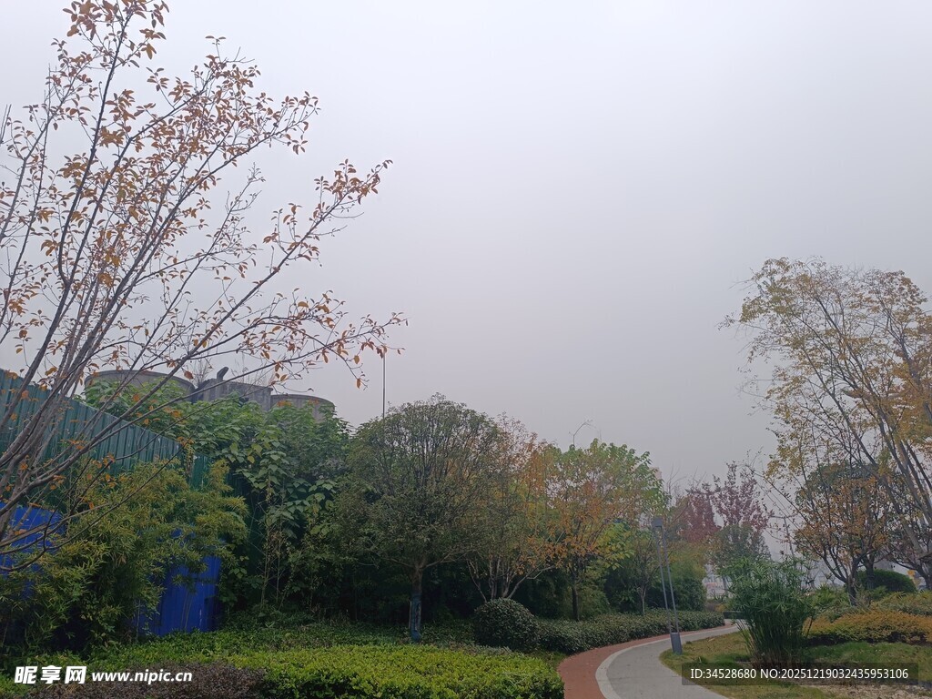 雾中园林小径景致