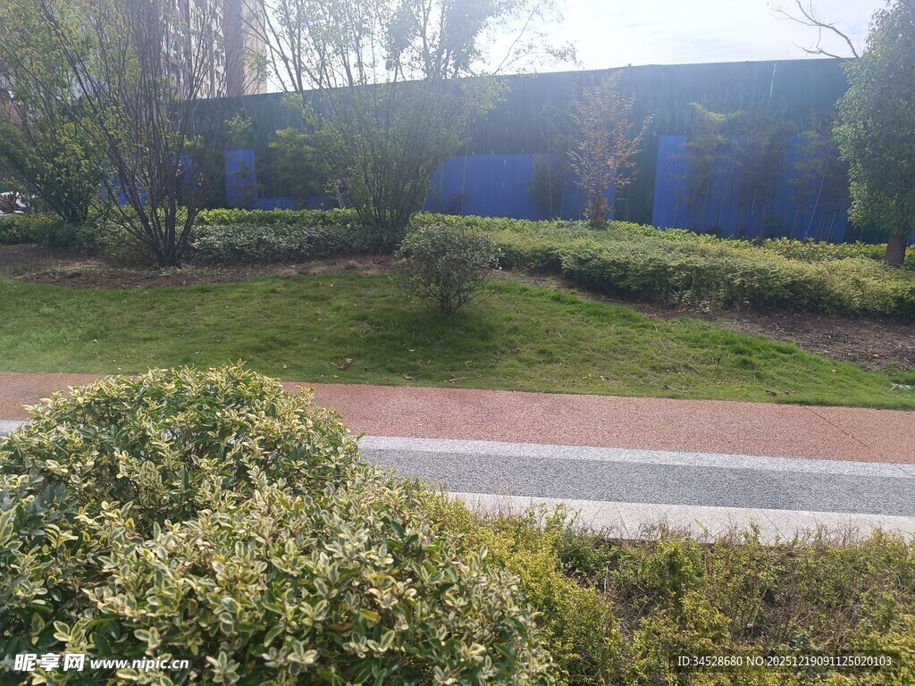 户外绿植景观场景