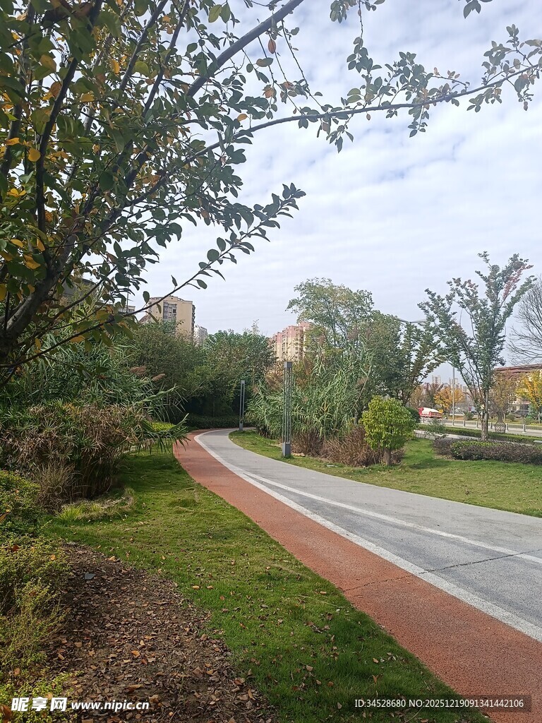 秋日林间的静谧骑行小道