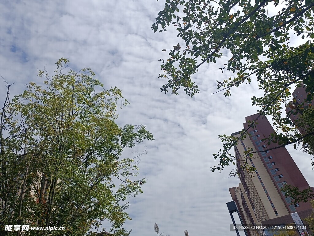 绿树掩映下的建筑一角