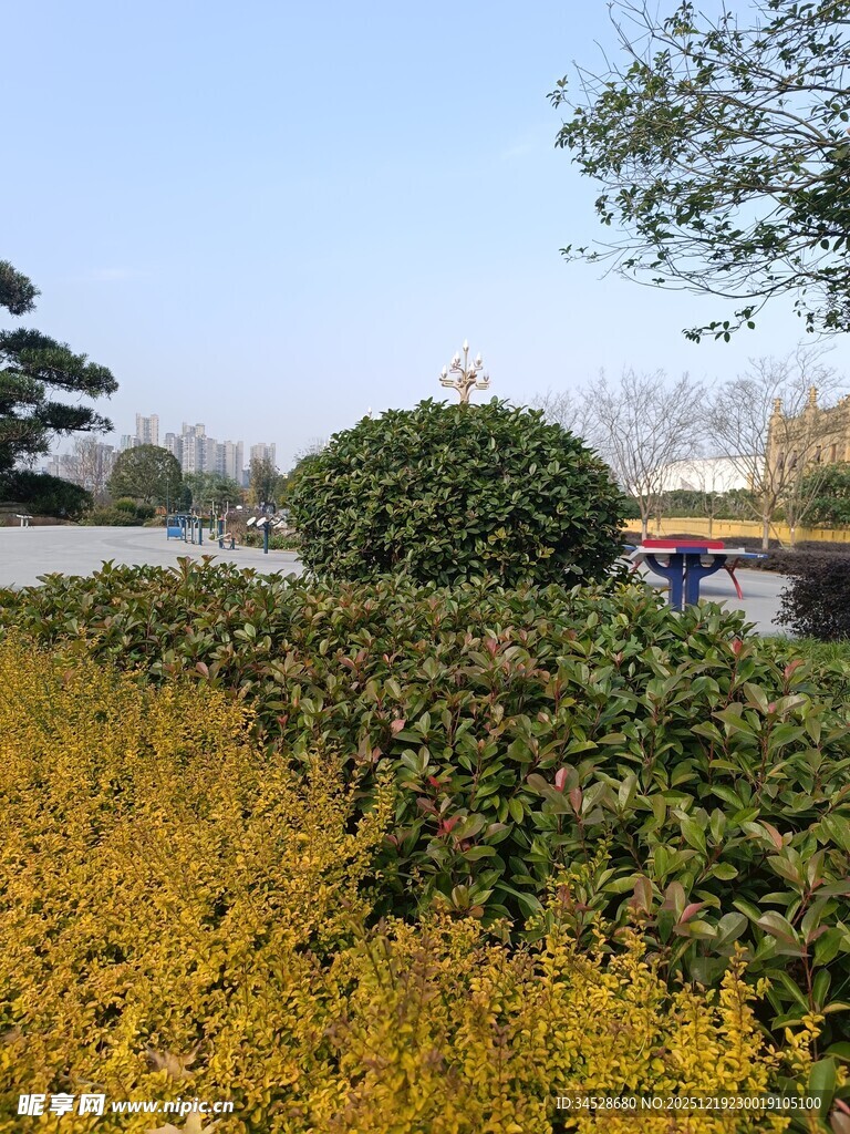 秋日园林绿植景观