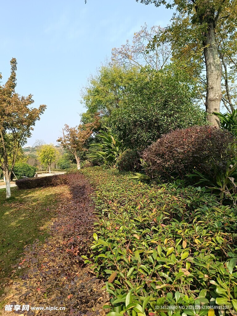 秋日园林小径景观