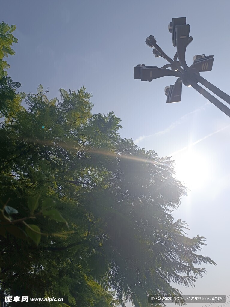 阳光下的十字架与绿树