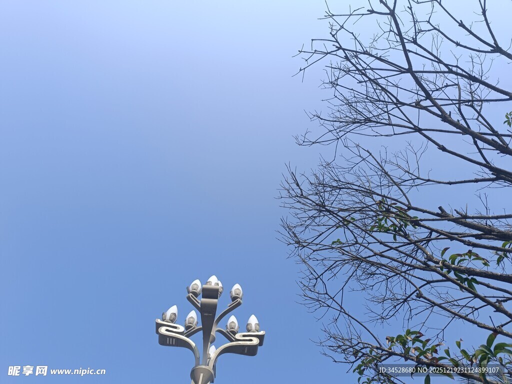 蓝天映衬下的独特路灯