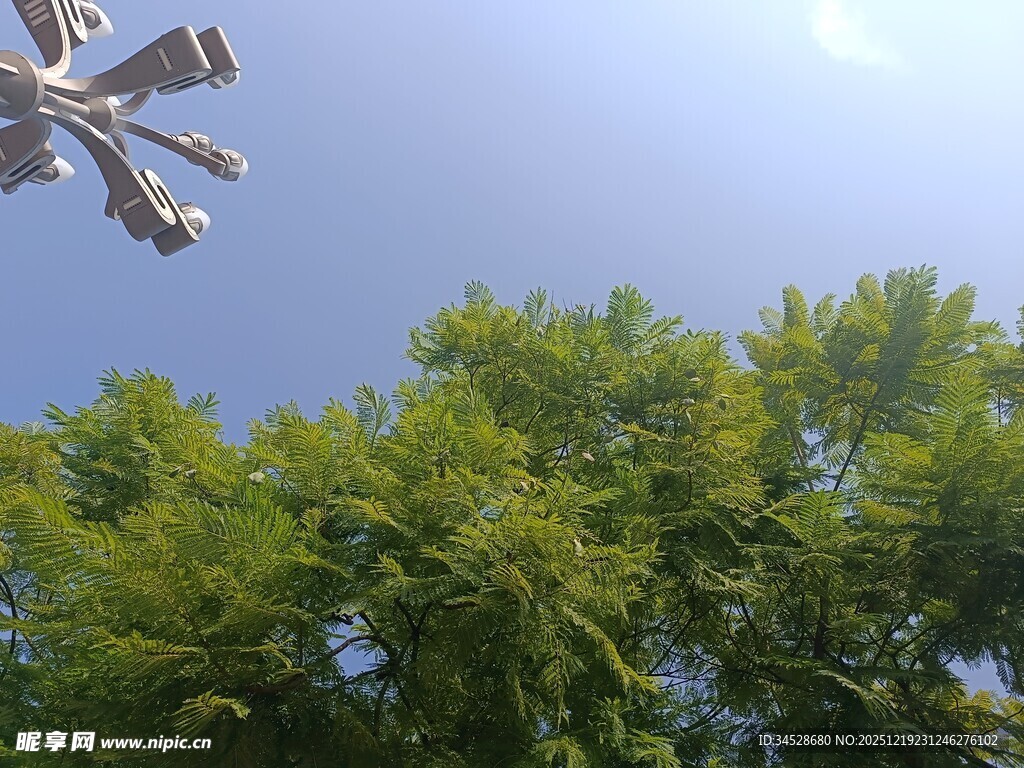蓝天绿树间的空中设备