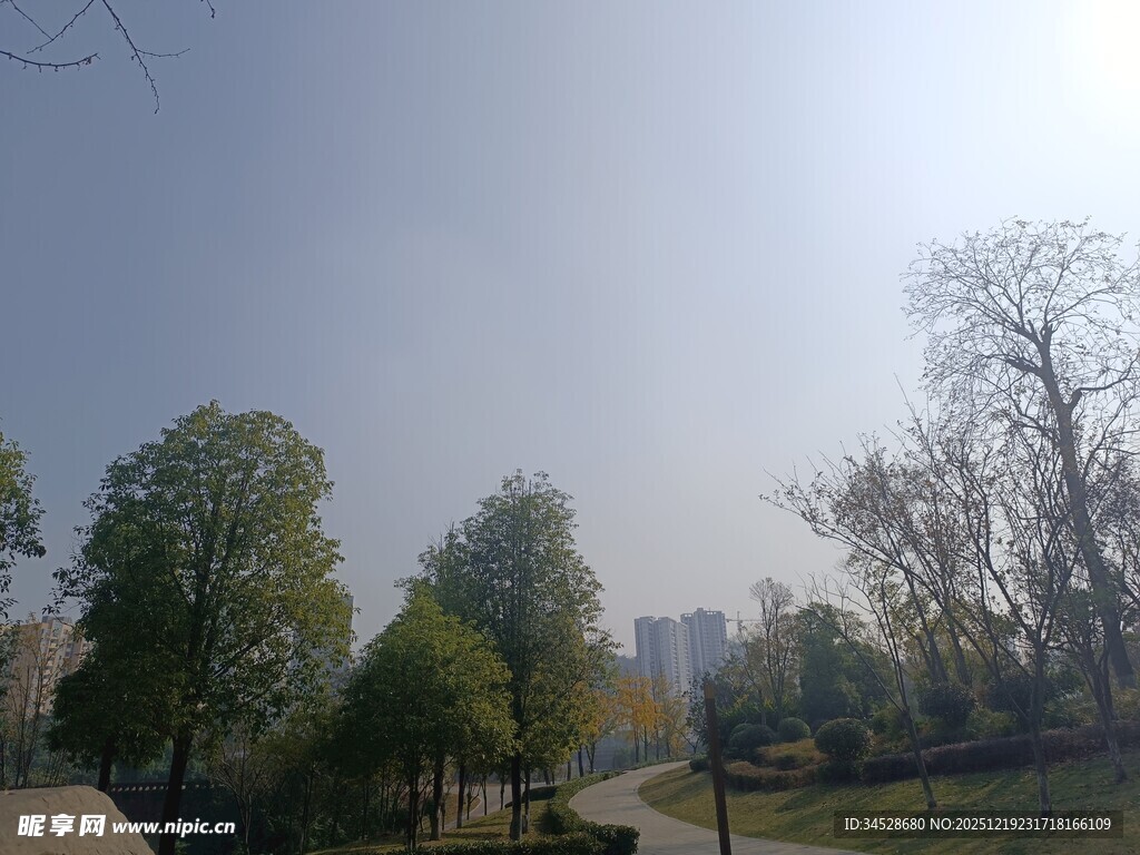 公园林间小道风景