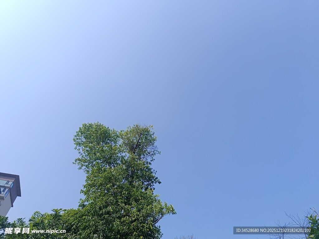 蓝天绿树间的设备一角